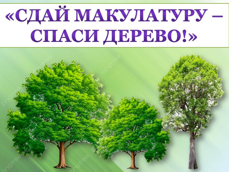Акция по сбору макулатуры «Сдай макулатуру - спаси дерево!»